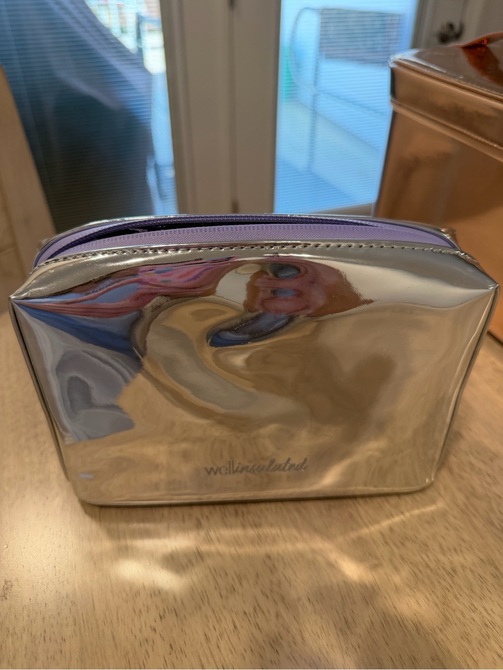 Silver Cosmetic Pouch with Purple Trim